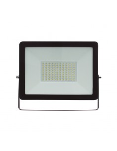 REFLECTOR 100 W - 110...