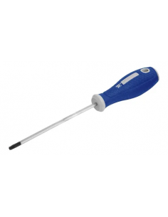 DESTORNILLADOR PUNTA TORX T15
